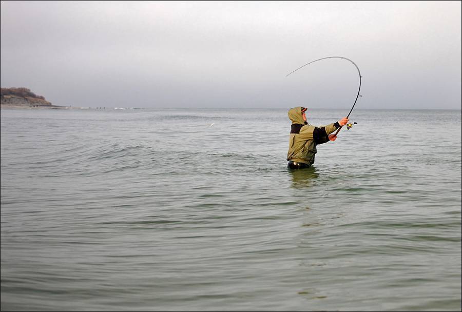 Рыбалка в витязево с берега