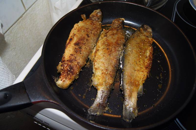 Как жарить рыбу на сковороде: рецепты и советы кулинаров. сколько надо жарить рыбу и как: вопрос здорового питания