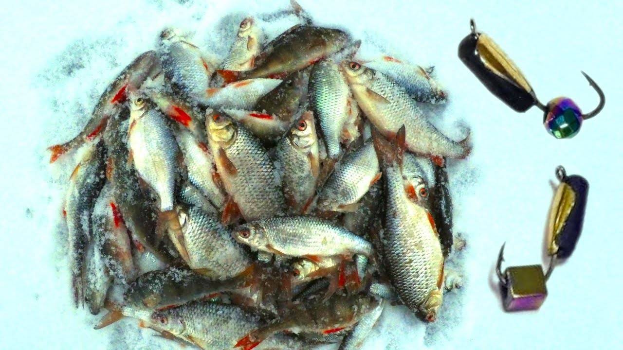 Ловля на "черта": советы опытных рыболовов