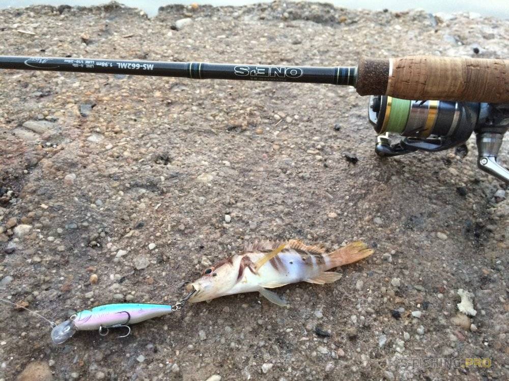 Спиннинг для рыбалки с берега