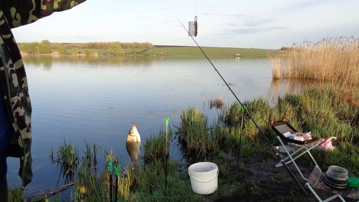 Рыбалка в краснодарском крае - 10 лучших мест | рыбалка на дону