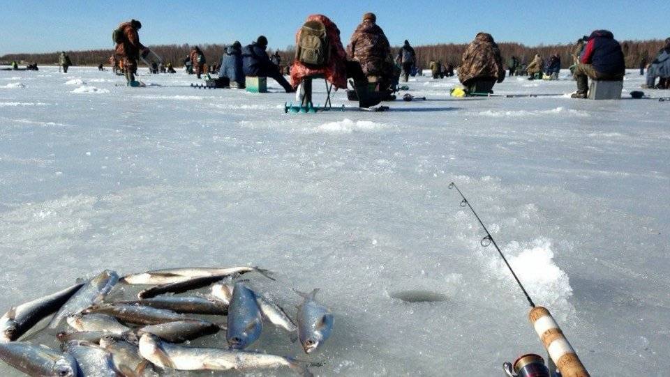 Рыбалка в Татарстане