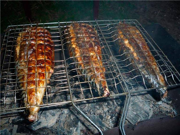 Маринад для рыбы на мангале, рецепты для рыбного шашлыка на решетке — объясняем подробно
