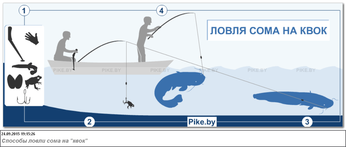 Ловля сома — особенности рыбалки - fishingwiki