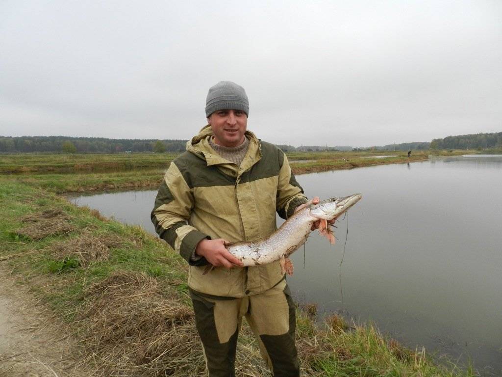 Рыбалка в щёлковском районе московской области, как ловить на сиваше, ледовском озере, орловском карьере
