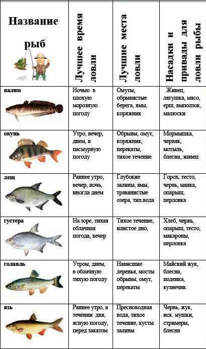 Нерест рыбы - календарь клева