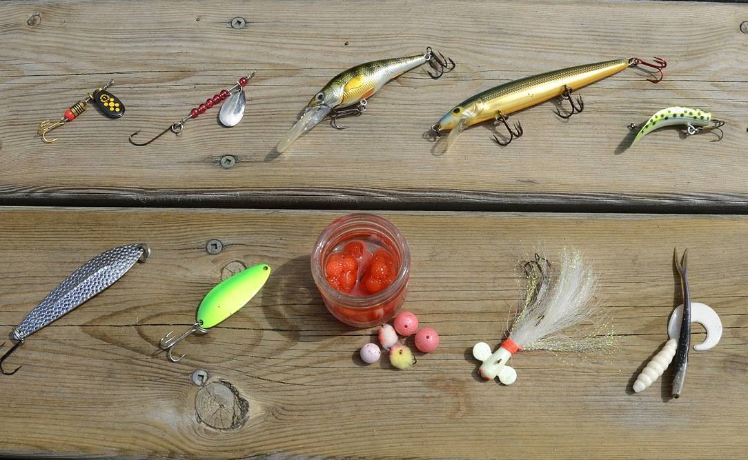 Рыбалка на тайменя: способы ловли, выбор снастей и приманок