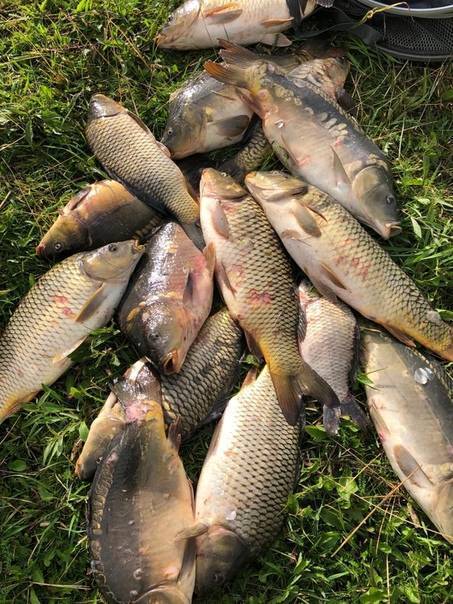 Рыбалка в октябре: особенности ловли в конце месяца, снасти, какая рыба ловится