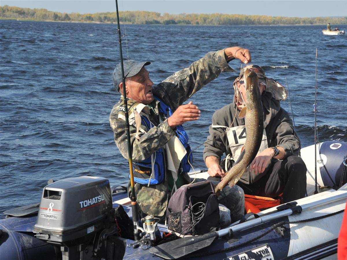 Черновское водохранилище: рыбалка и какая рыба водится