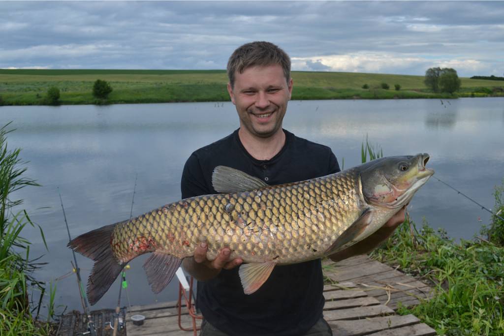 Рыбалка в белгороде и белгородской области: рыбные места и способы ловли
