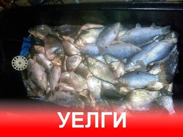 Озеро уелги рыбалка. Уелги озеро в Челябинской области. Уелги карась. Рыбалка на озере Уелги. Рыбалка на Уелгах Челябинская область.