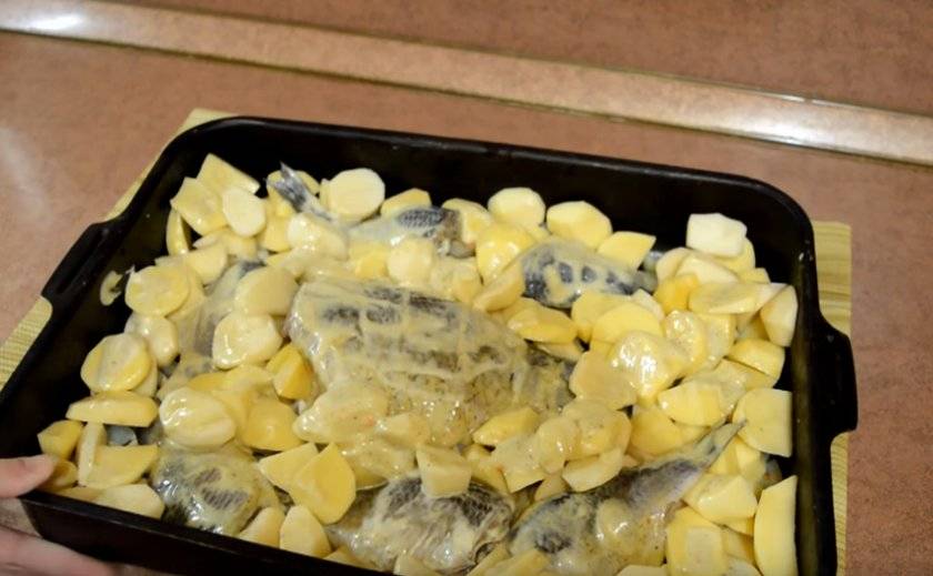 Щука в духовке с картофелем: рецепт и советы по приготовлению