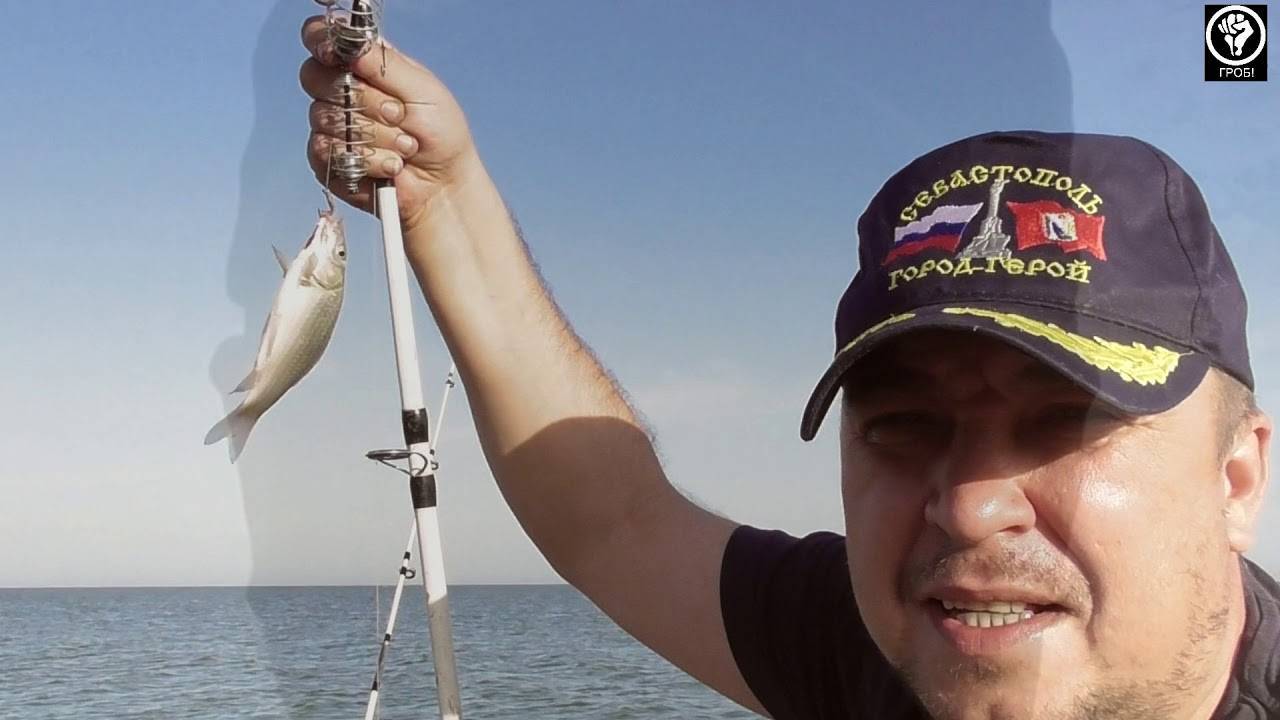 Какая рыба водится в азовском море?