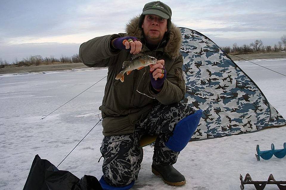 Рыбалка в горном алтае бесплатно. firstfisher.ru – интернет-журнал о рыбалке и рыболовах.
