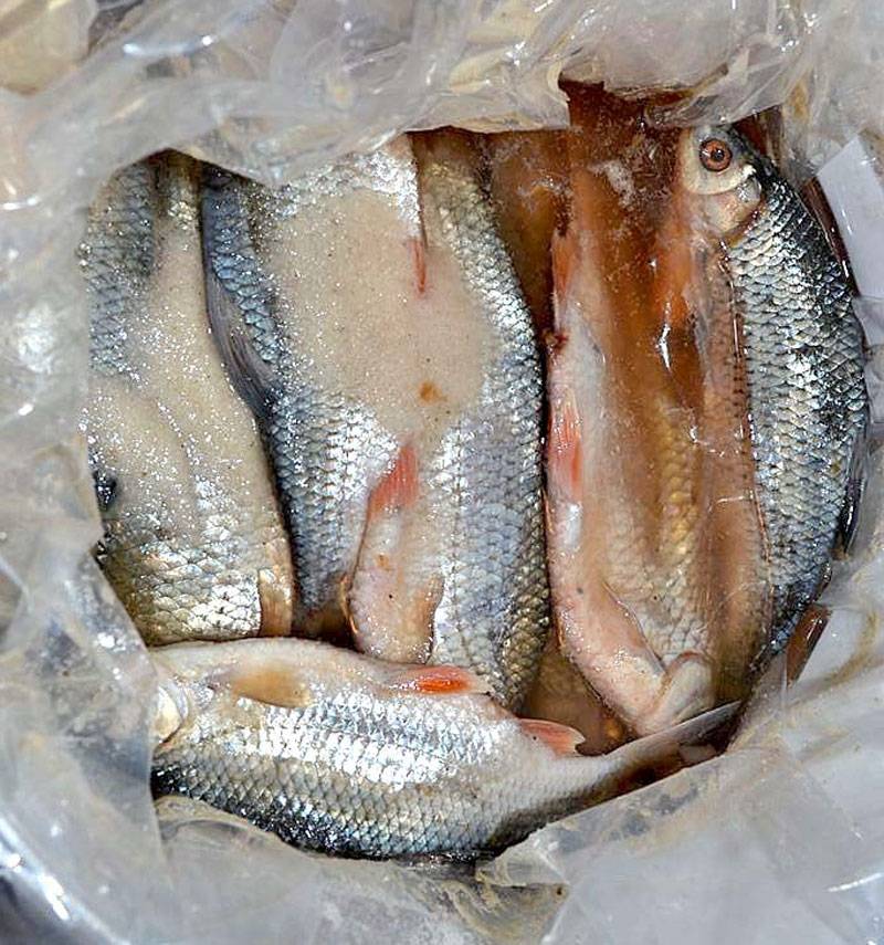 Засолка рыбы и вяление в домашних условиях | как засолить рыбу