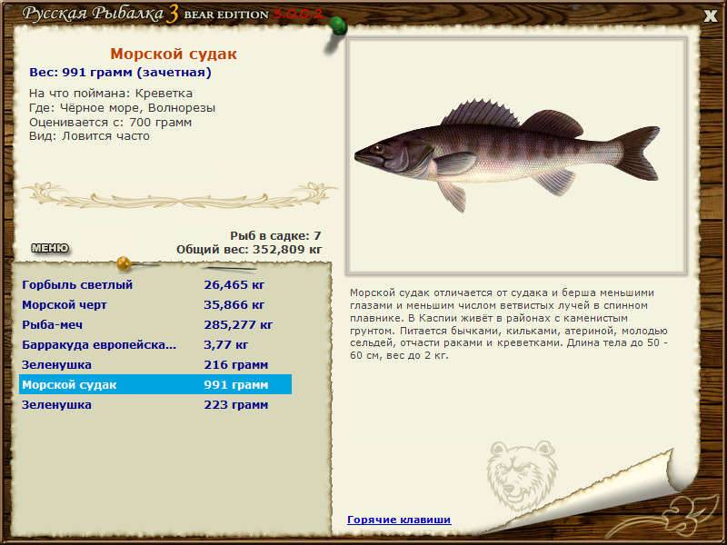 Берш - описание рыбы, секреты ловли, места обитания и приманки