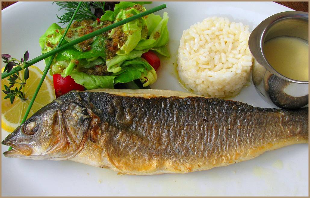 Сибас — полезные свойства рыбы и калорийность, рецепты приготовления блюд с фото