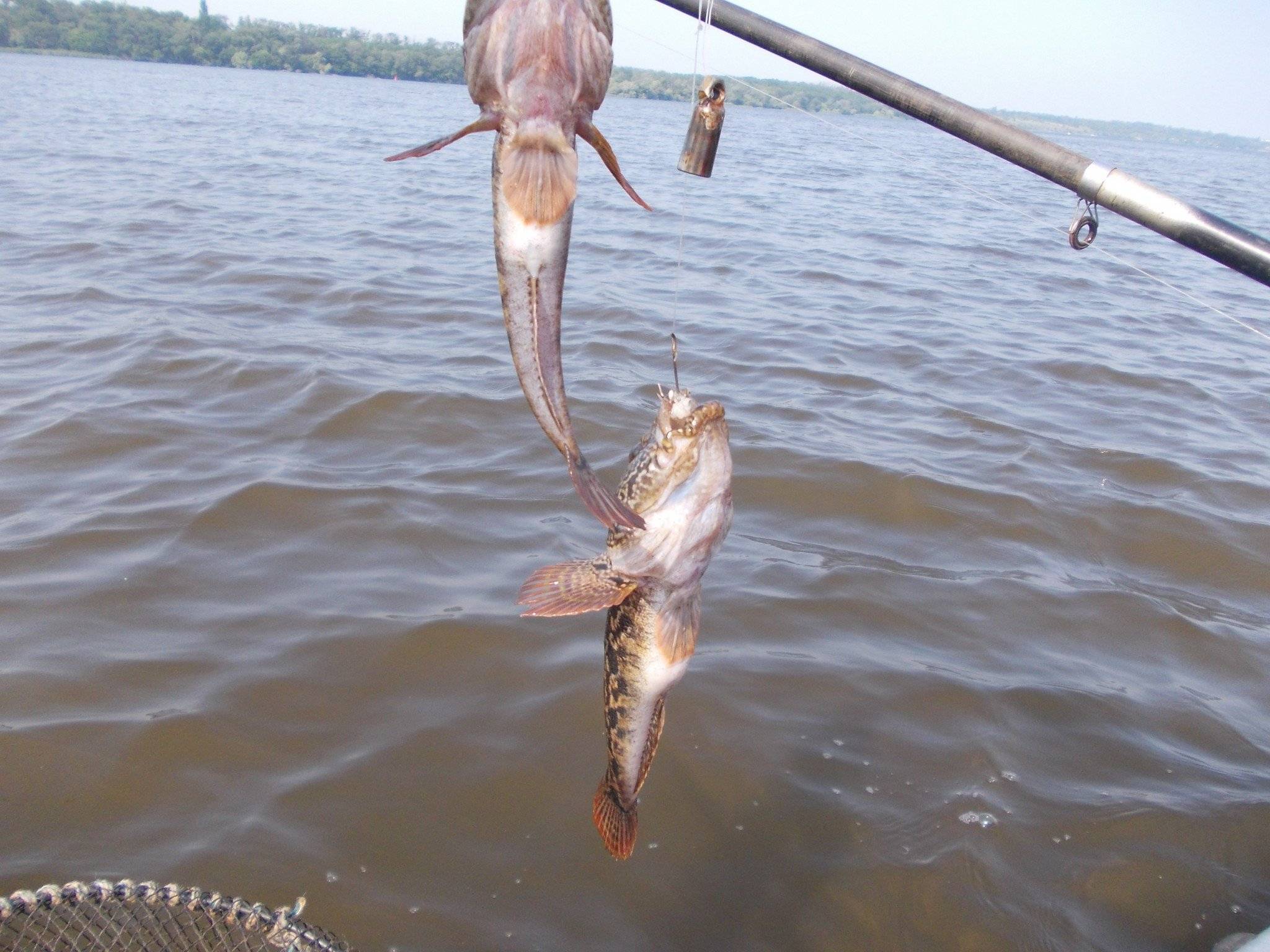 Ловля рыбы в азовском море — советы и рекомендации