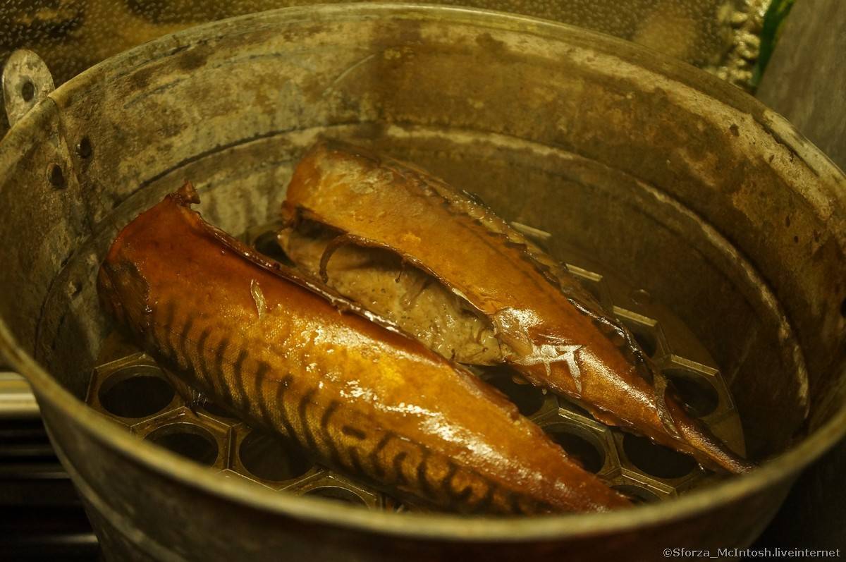 Способ приготовления тузлука для засолки рыбы, вкусные рецепты посола