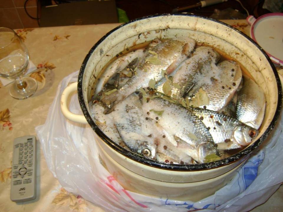 Как правильно солить красную рыбу в домашних условиях сухим способом и в рассоле, целиком и кусочками: рецепты с фото. как выбрать красную рыбу для засолки? | qulady