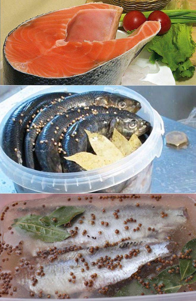 Как вялить рыбу в домашних условиях