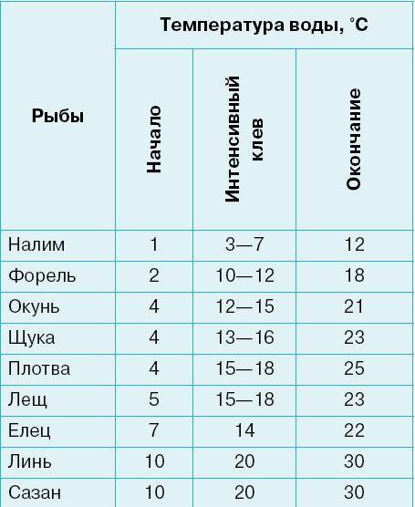 Время нереста карпа: начало и окончание