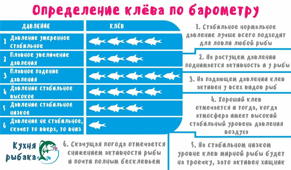 Влияние давления на клев рыбы
