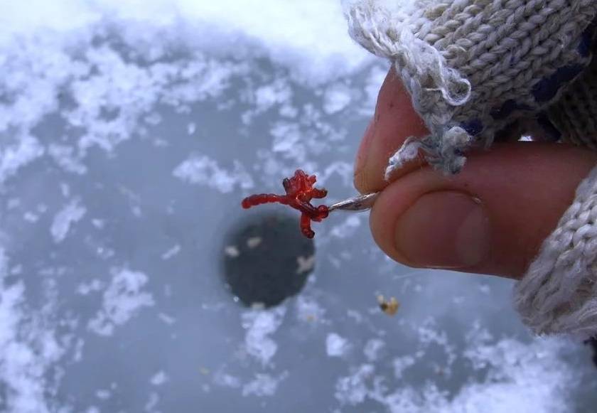 Мормышка - что это такое, зимние мормышки, видео, как привязать и виды