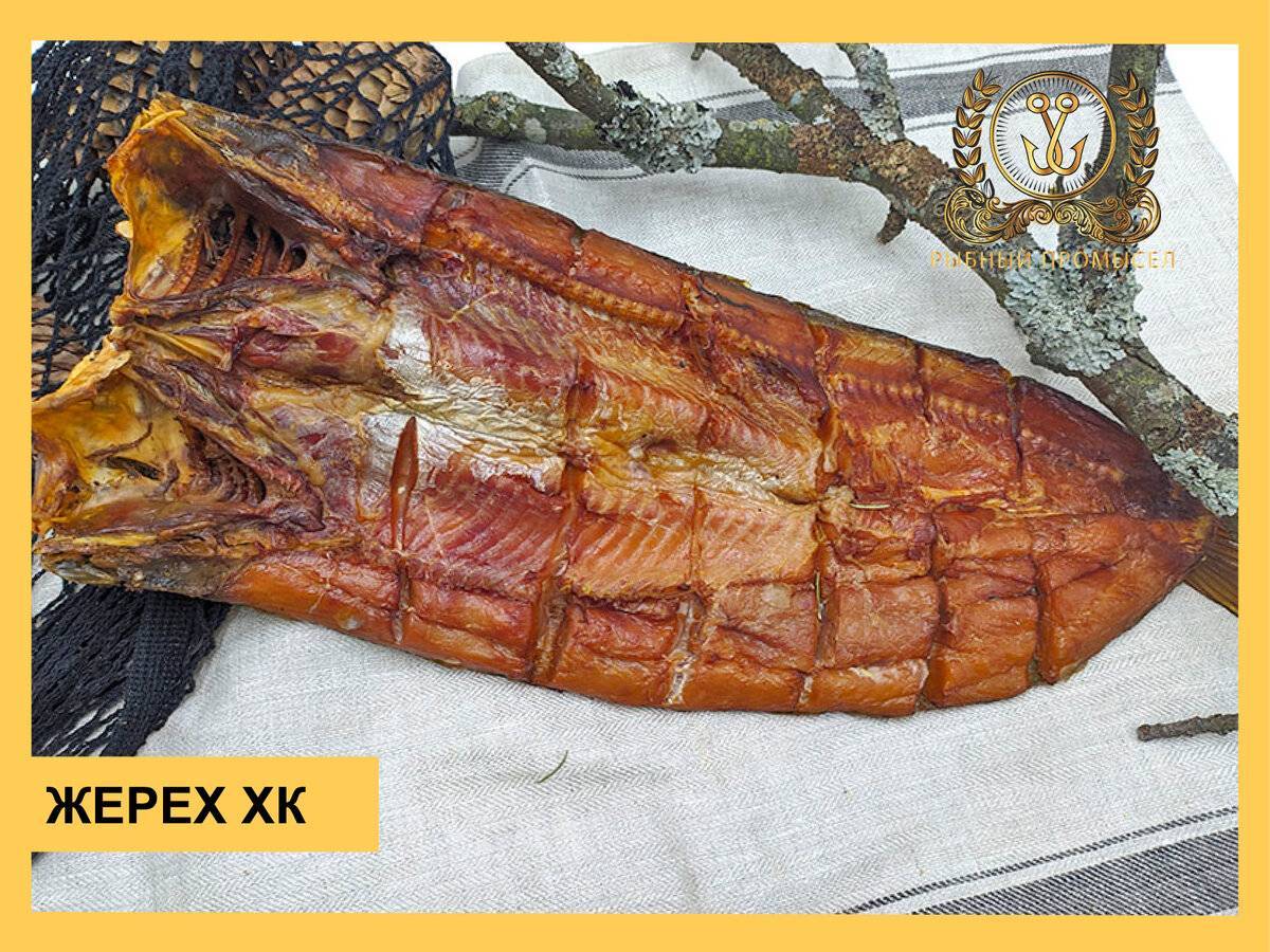 ✅ жерех: костлявый или нет, вкусовые качества, что это за рыба, какое мясо, фото и отзывы - tehnoyug.com