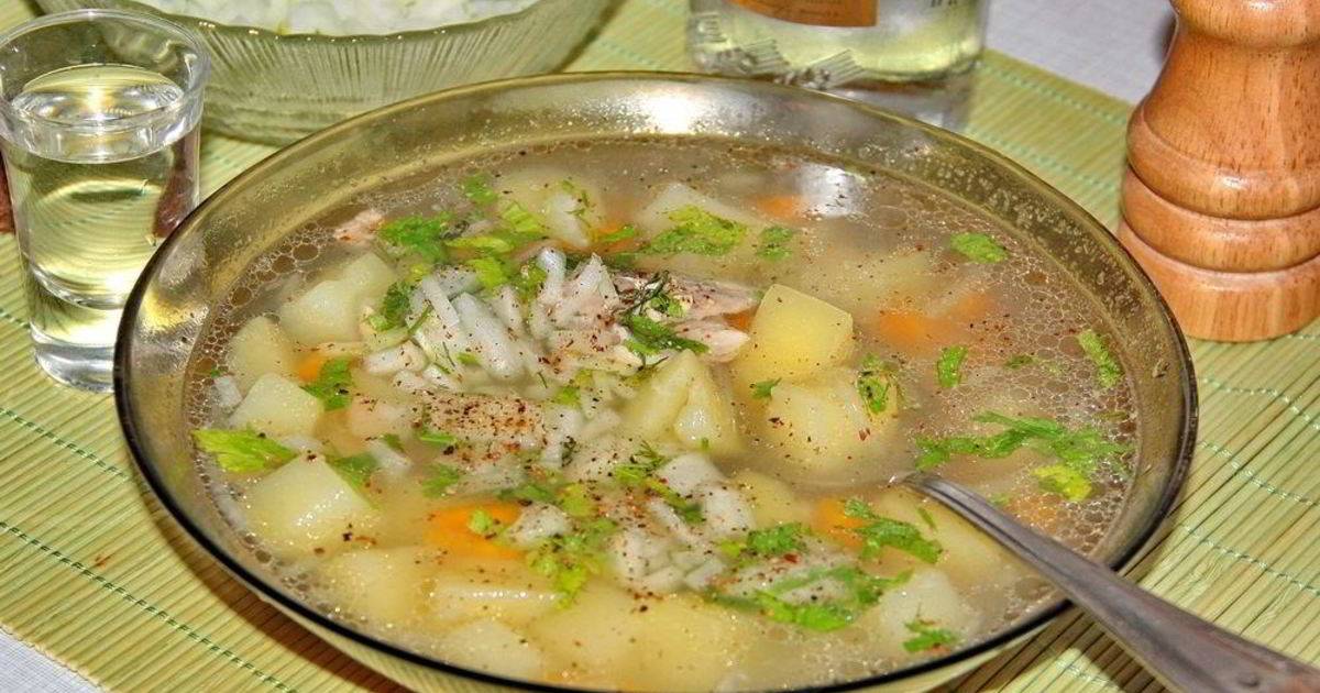 Уха из карпа — рецепты с фото пошагово, приготовление супа из головы дома