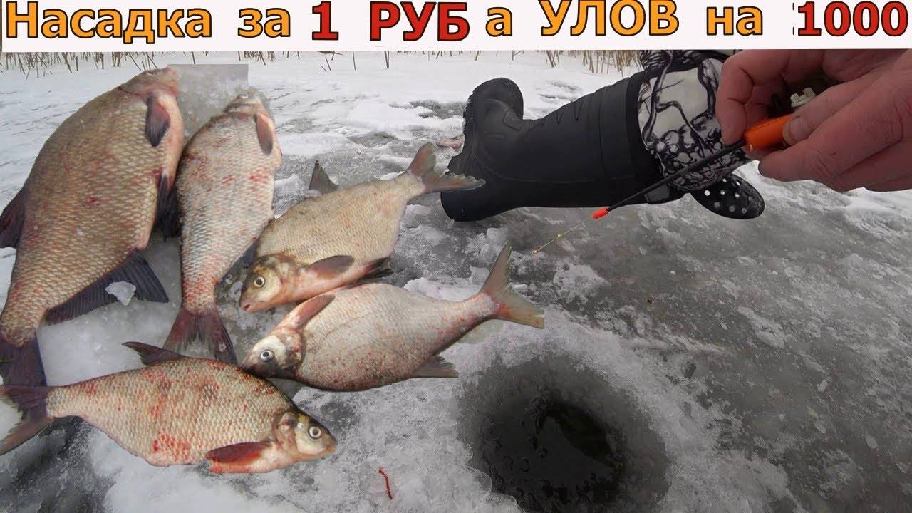 Зимняя рыбалка на чебака с применением зимних удочек и прикормок фото видео