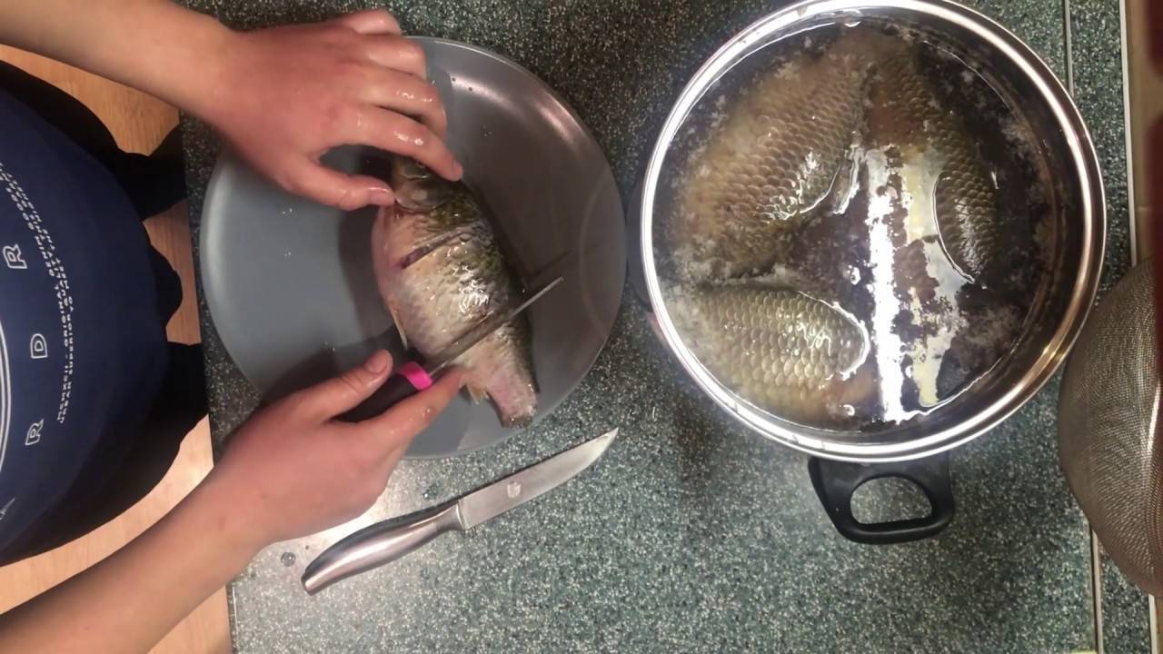 Как чистить свежую рыбу - пошаговая инструкция с фото