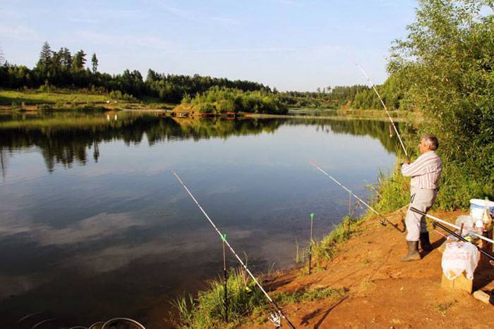 Платная и бесплатная рыбалка в одинцовском районе – суперулов – интернет-портал о рыбалке
