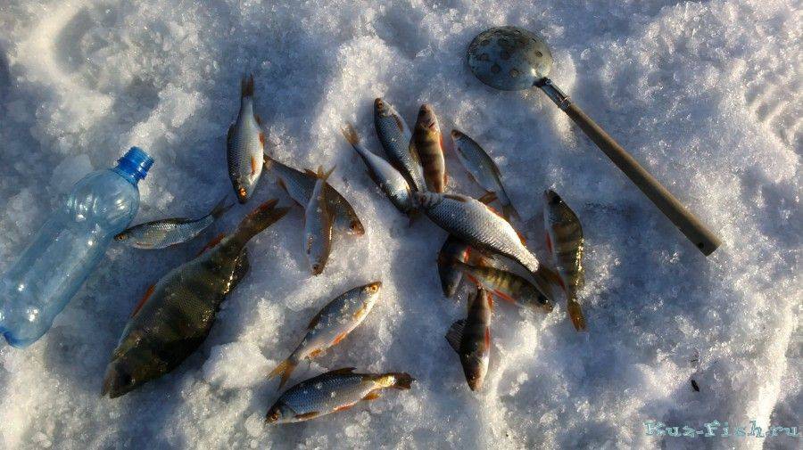 ✅ ледовское озеро щелковский район рыбалка - danafish.ru