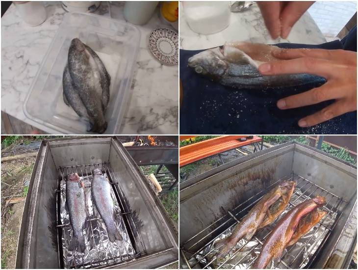 Форель холодного копчения: подготовка рыбы, рецепт, советы по приготовлению. какой дымогенератор лучше для холодного коп...