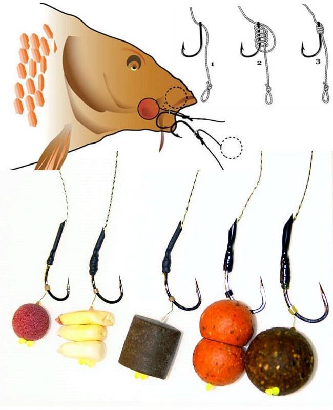 Как поймать сазана на фидер: монтаж, оснастка и другие тонкости рыбалки