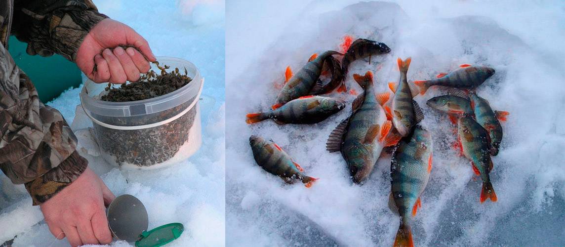 Секреты и хитрости зимней рыбалки