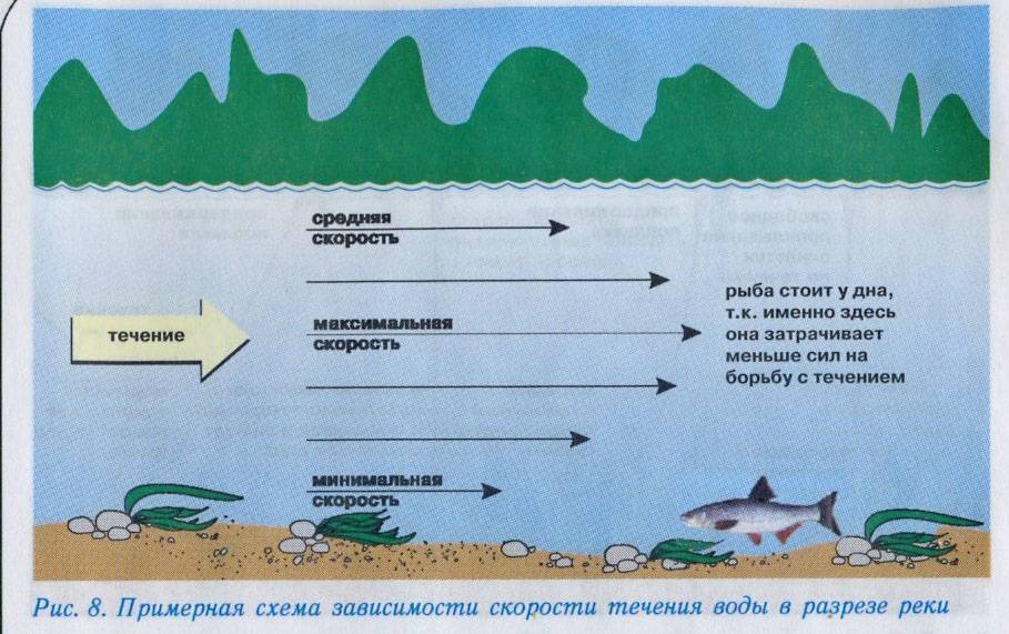 Если рыба не клюет. факторы, которые влияют на поведение рыбы. как расшевелить неактивную рыбу.