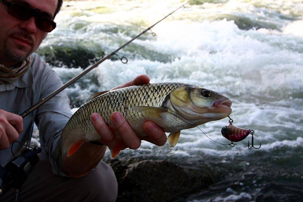 Рыбалка осенью: клев рыбы, особенности осенней ловли