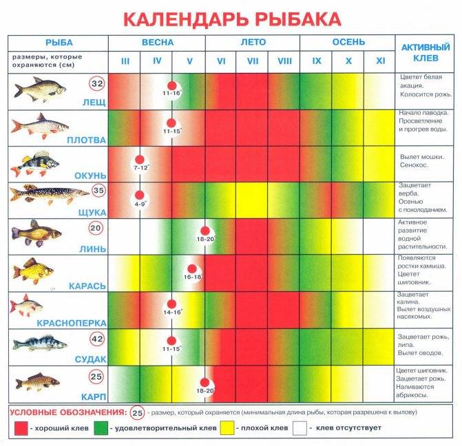 Закон о рыбалке в россии. штрафы, правила, запреты