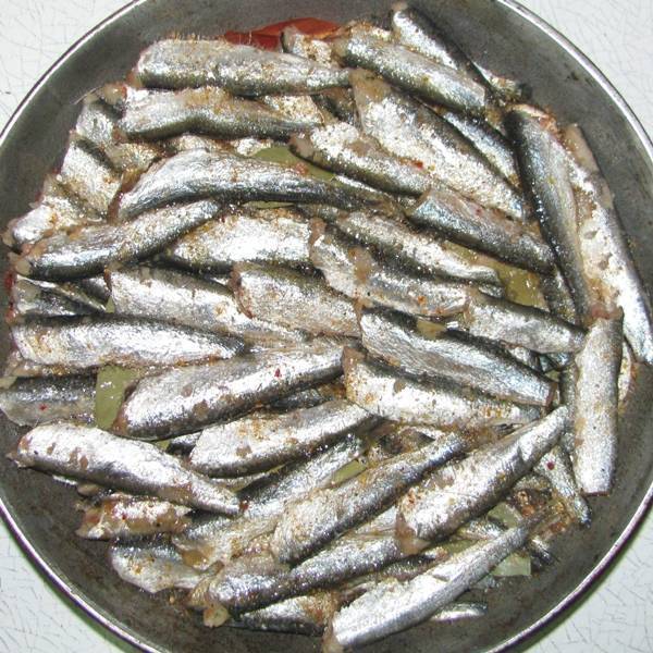Как сделать шпроты из речной рыбы в домашних условиях
