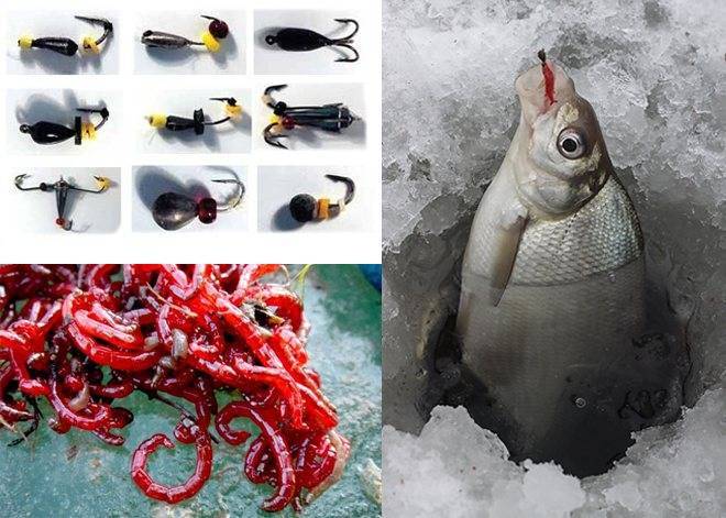 Зимняя рыбалка: советы опытных рыбаков - статьи о рыбалке
