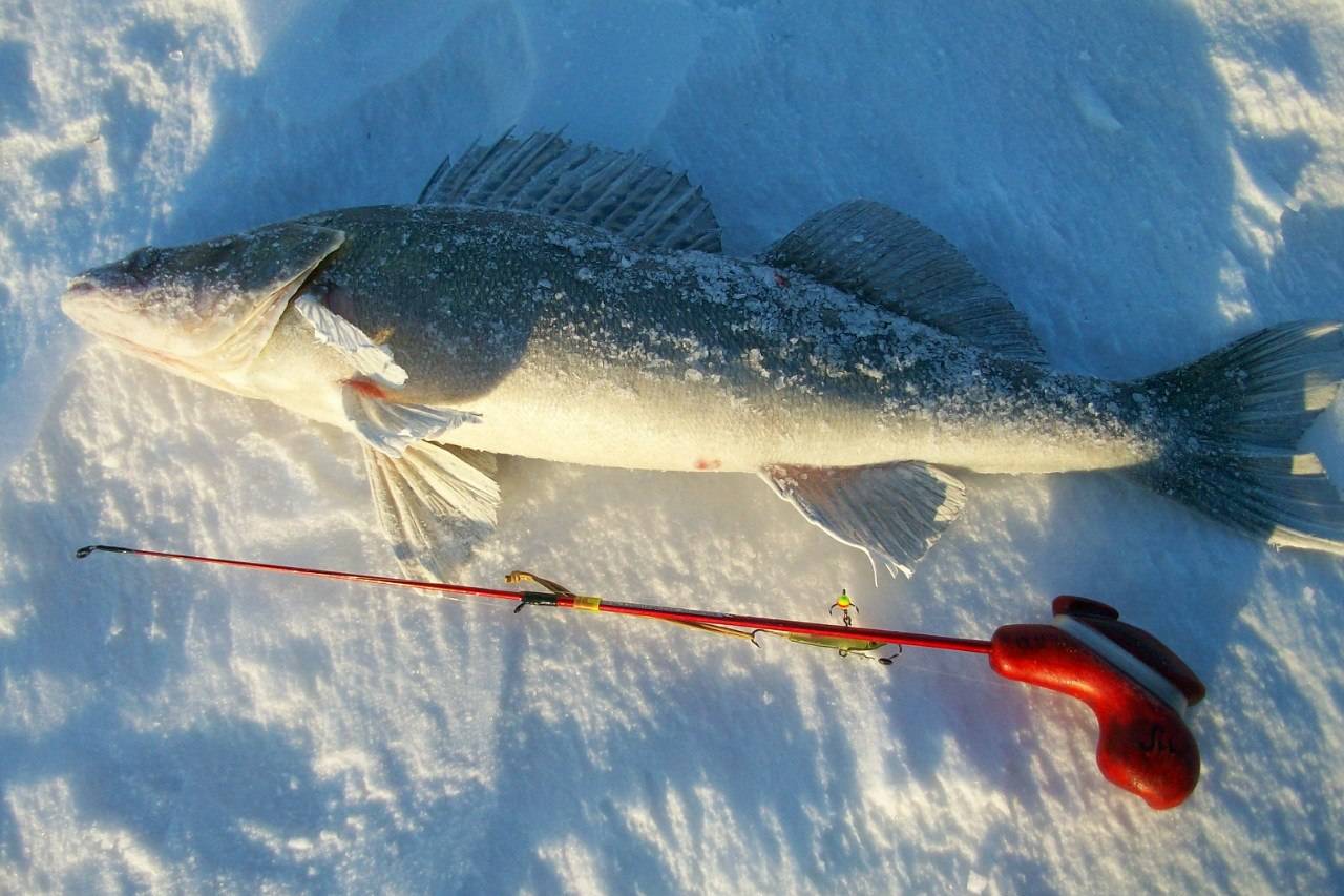 Ловля судака на балансир зимой - на рыбалке!
