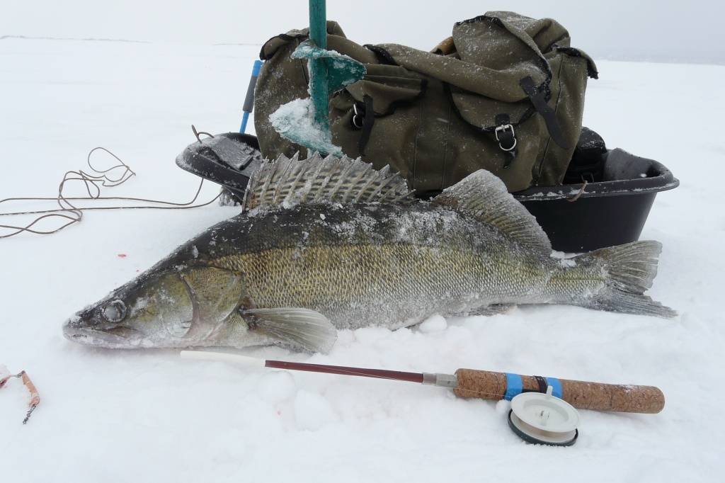 Рыбалка в карелии зимой 2022. куда поехать и когда? отзывы: советы опытных рыбаков
