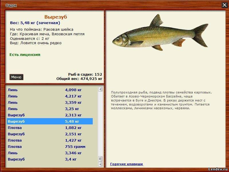 Особенности норвежской рыбалки