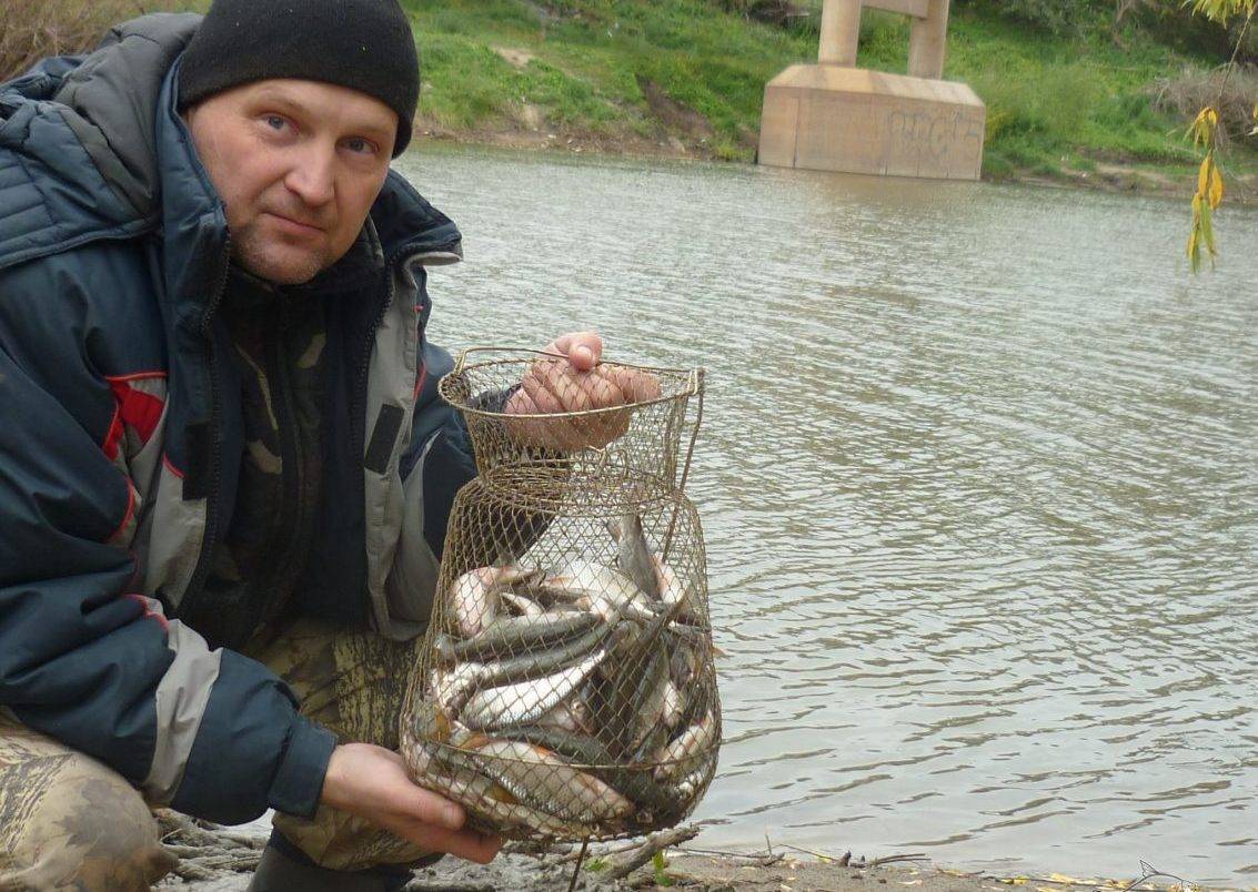 Рыбалка в ишимском районе (тюменская область). форум, отчеты