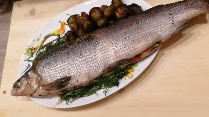 Рыба муксун: пошаговые рецепты с фото для легкого приготовления ???? кулинарные рецепты
