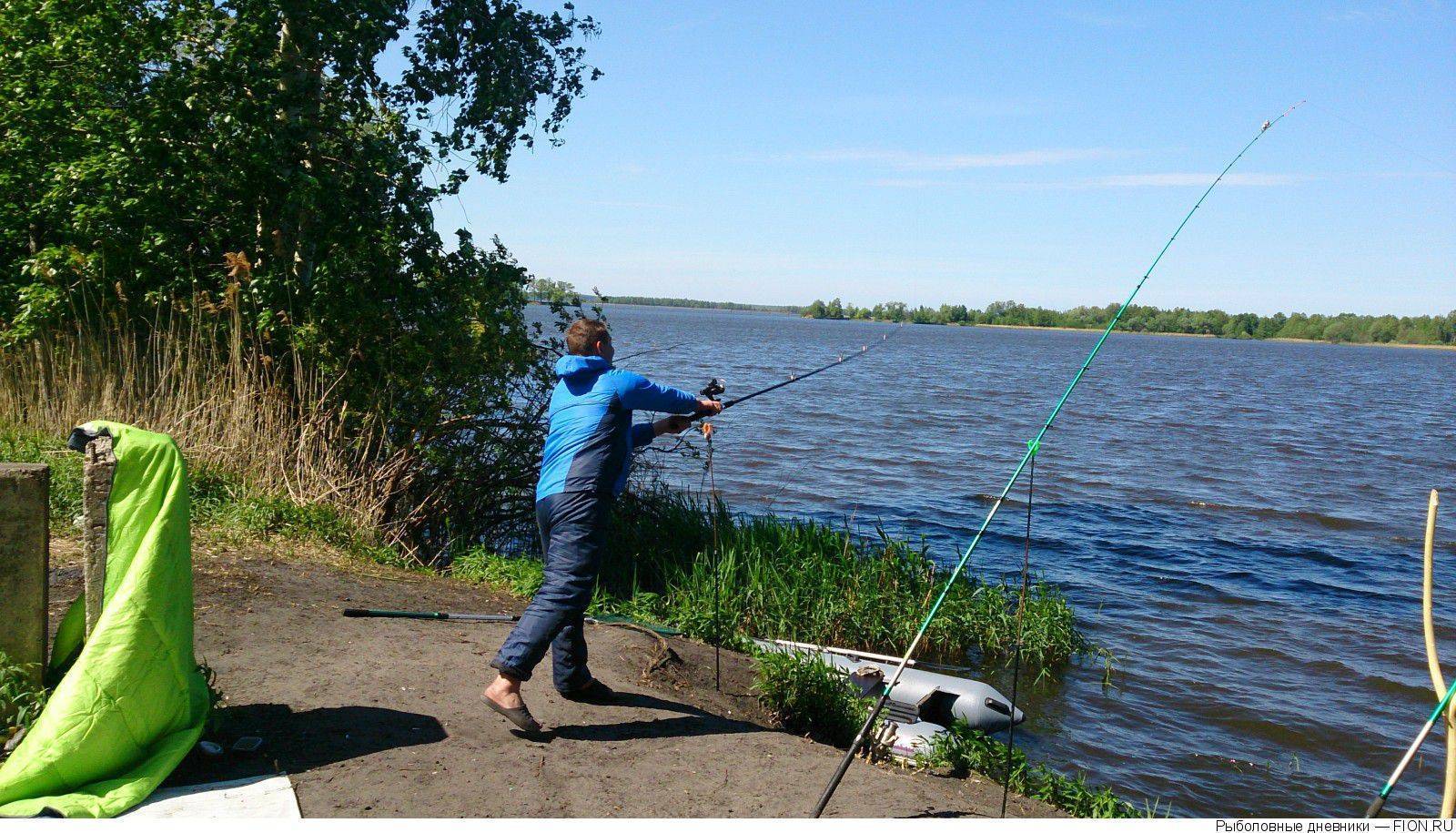 ✅ долгуша шатурский район рыбалка - danafish.ru