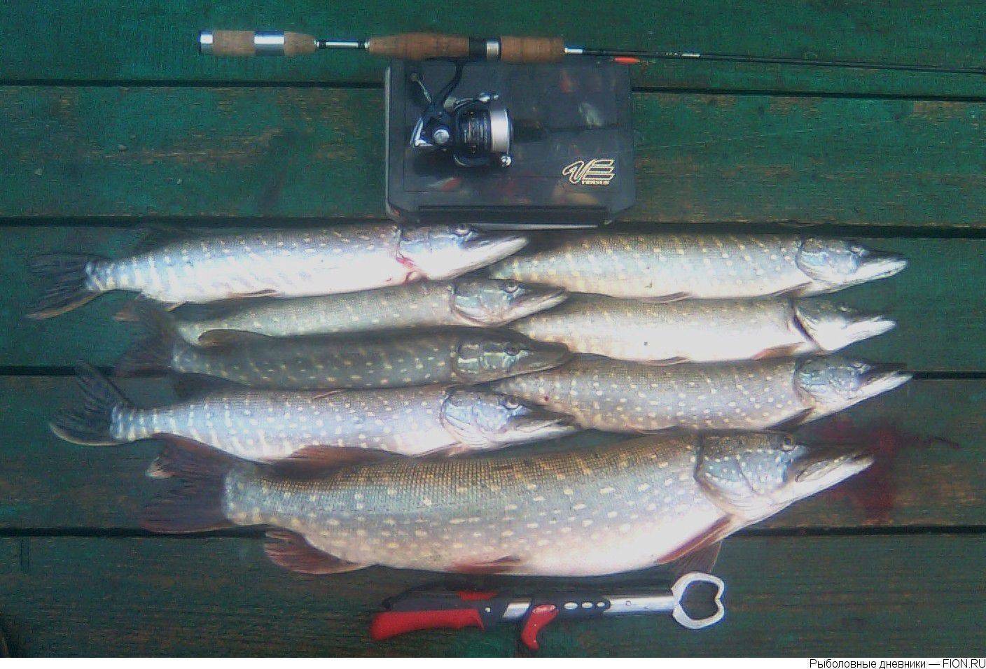 Рыбалка в хомяково сергиево-посадского района, особенности ловли рыбы в деревне