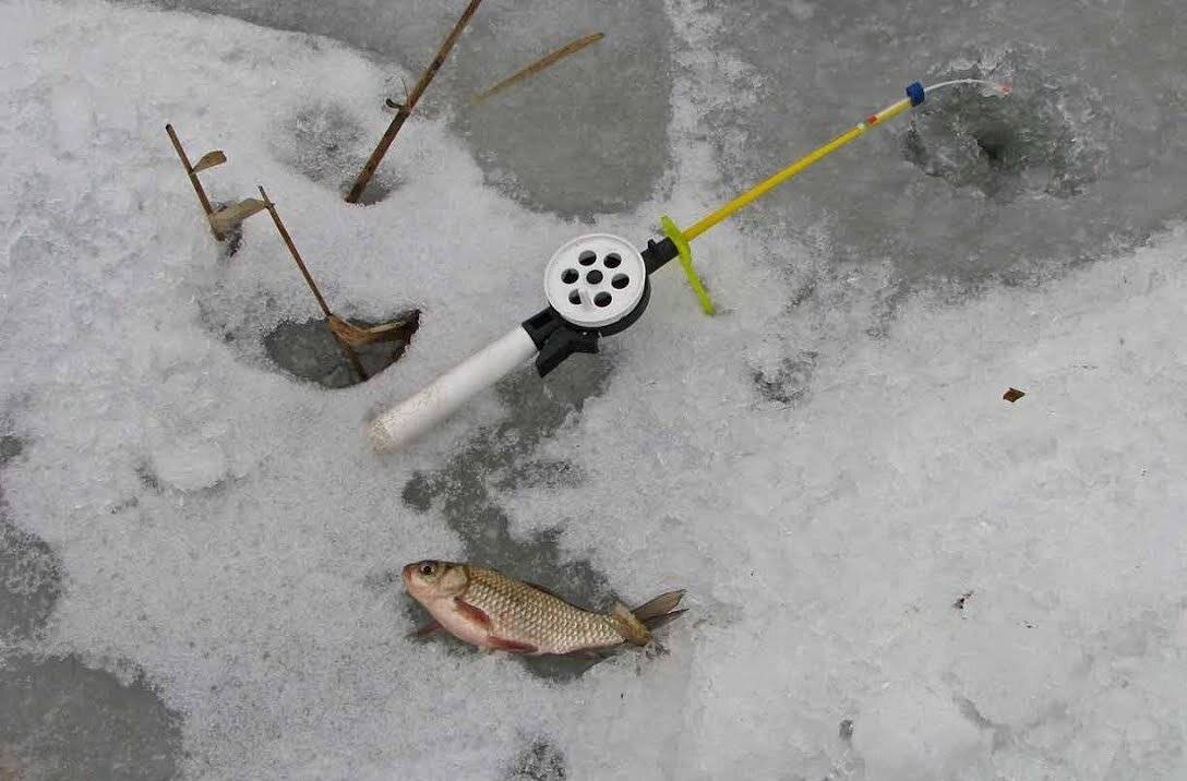 Ловля карася зимой со льда на мормышку, поплавок, донку: на что клюет, как поймать на пруду и течении, видео советы